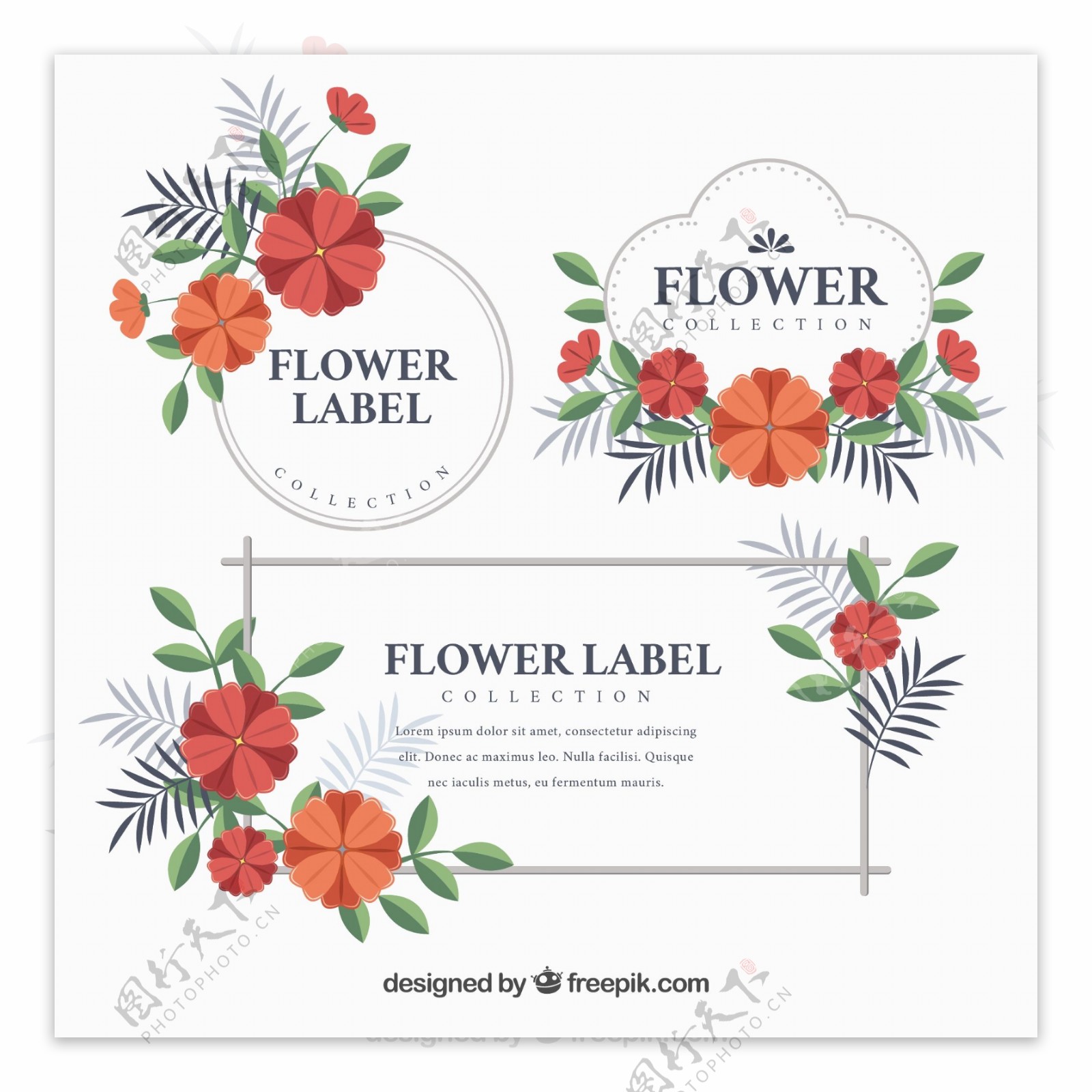 花卉装饰标签平面设计素材