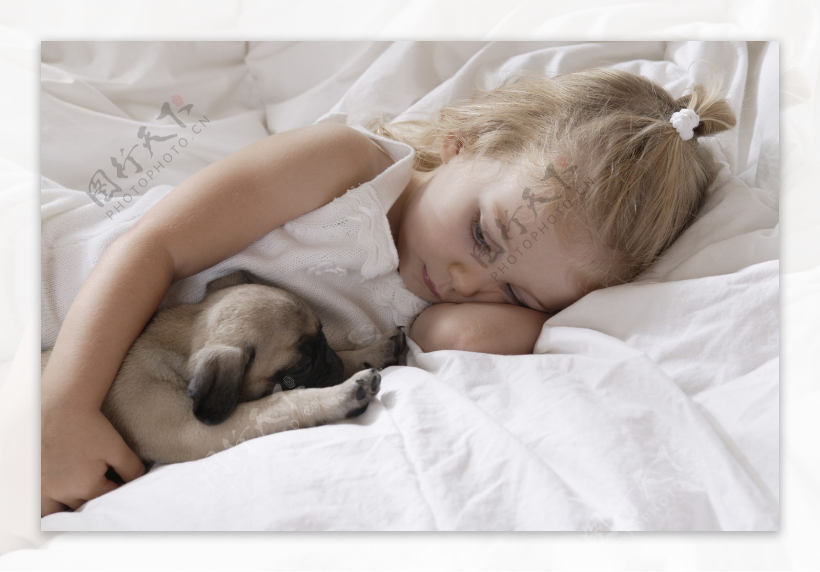 睡觉的小女孩与小狗图片