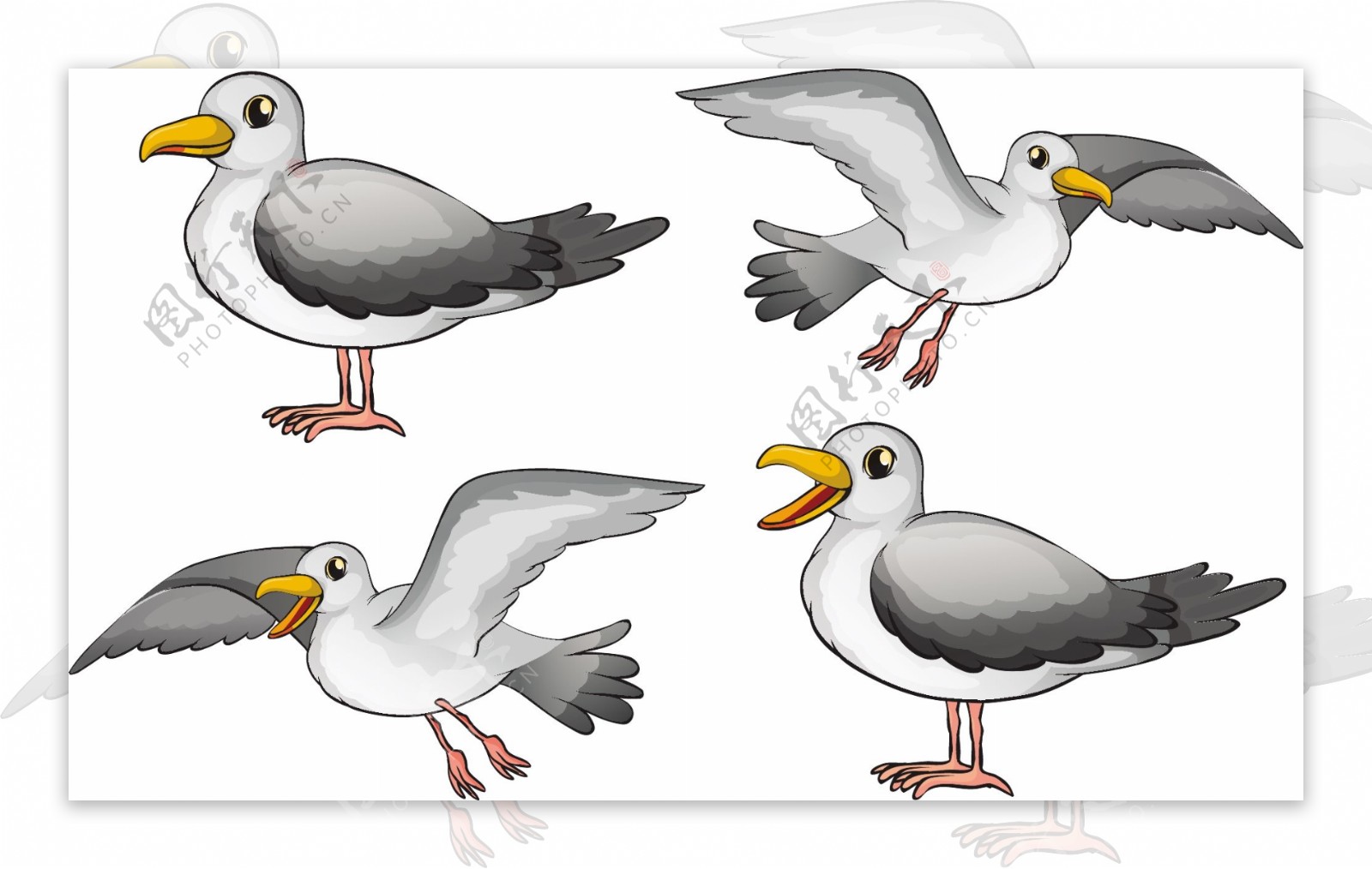 四只不同姿态的小鸟插图