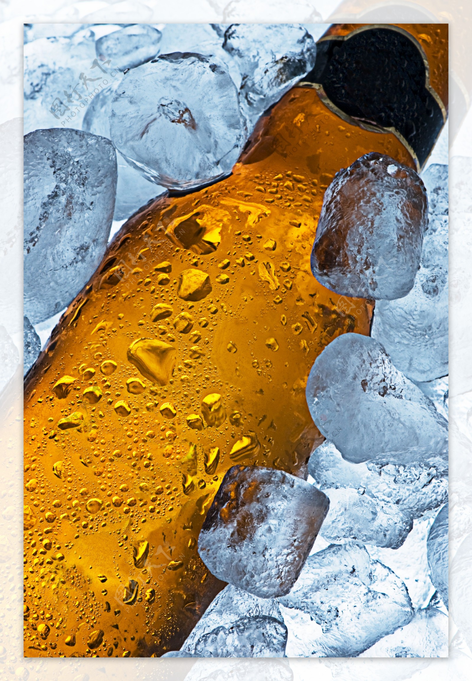 冰块堆里的一瓶啤酒图片
