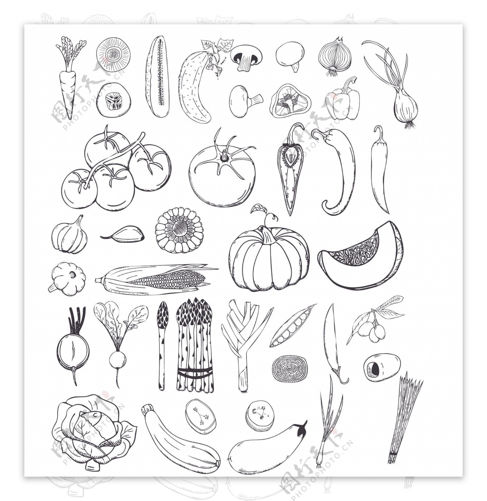 蔬菜卡通黑白线条矢量涂鸦装饰元素合集