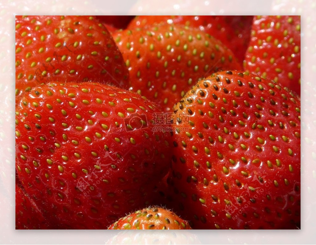 美味的红色草莓