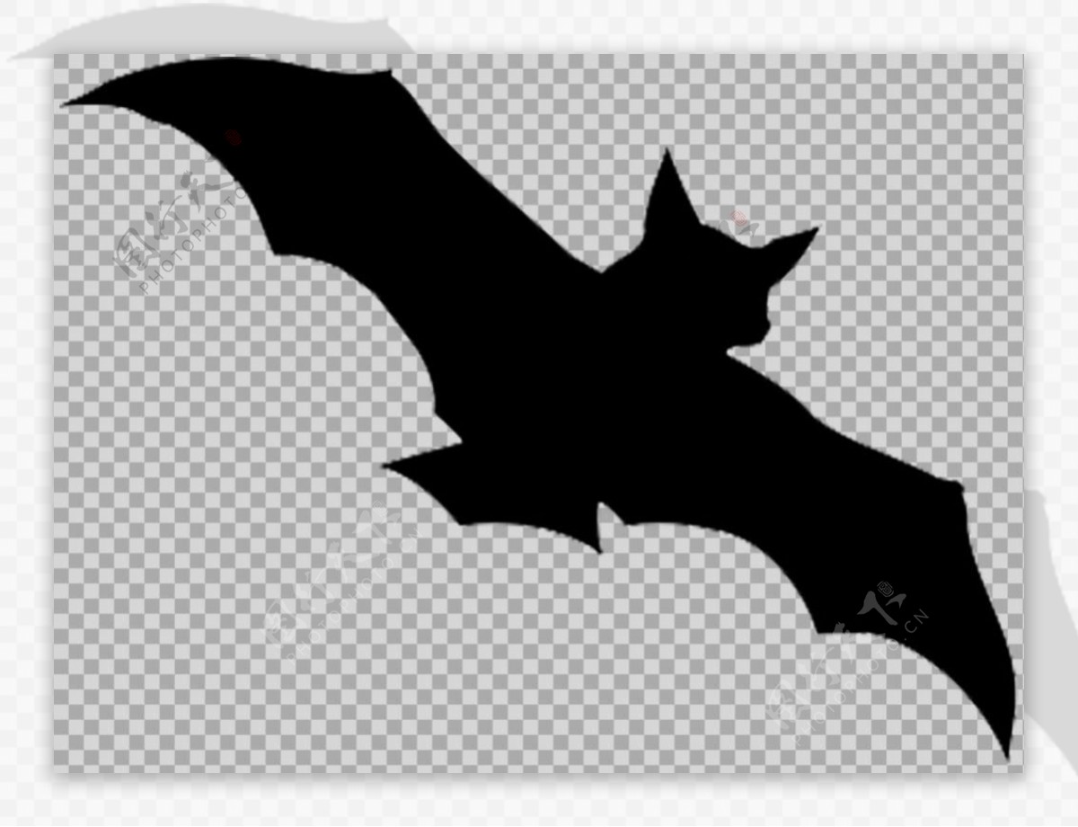 手绘黑色蝙蝠图片免抠png透明图层素材