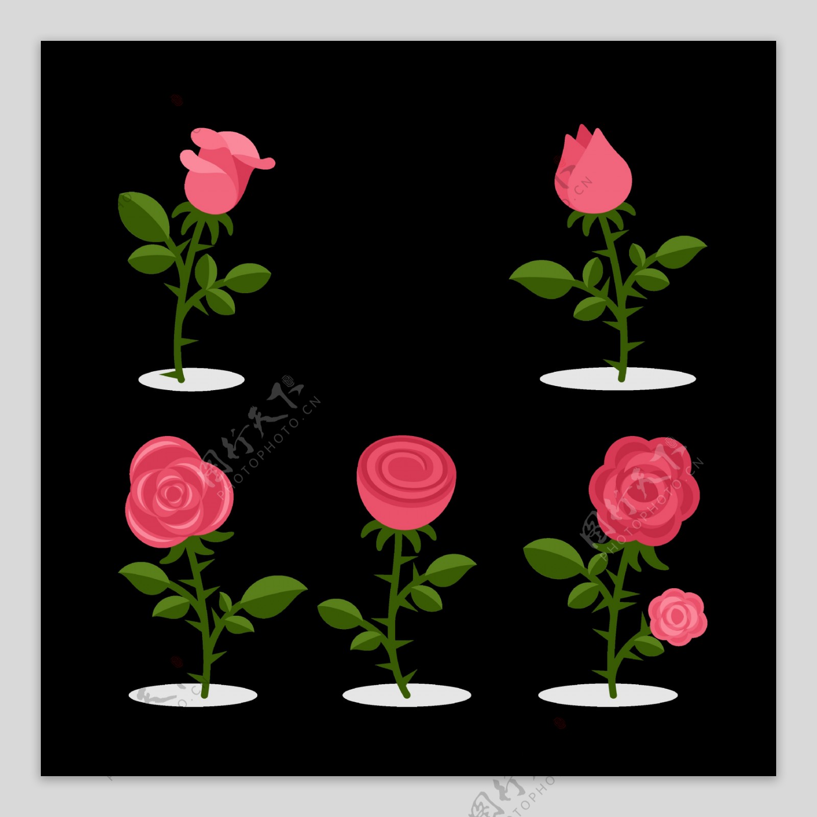扁平风格红玫瑰插图免抠png透明图层素材