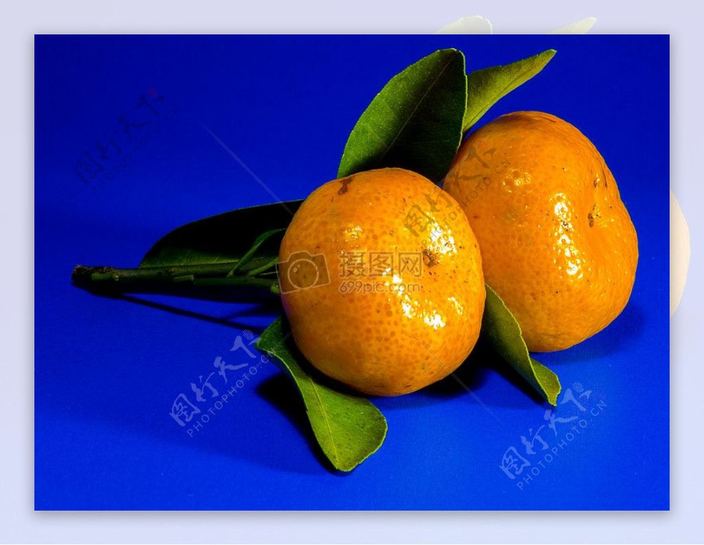 饱满的橘黄色橘子
