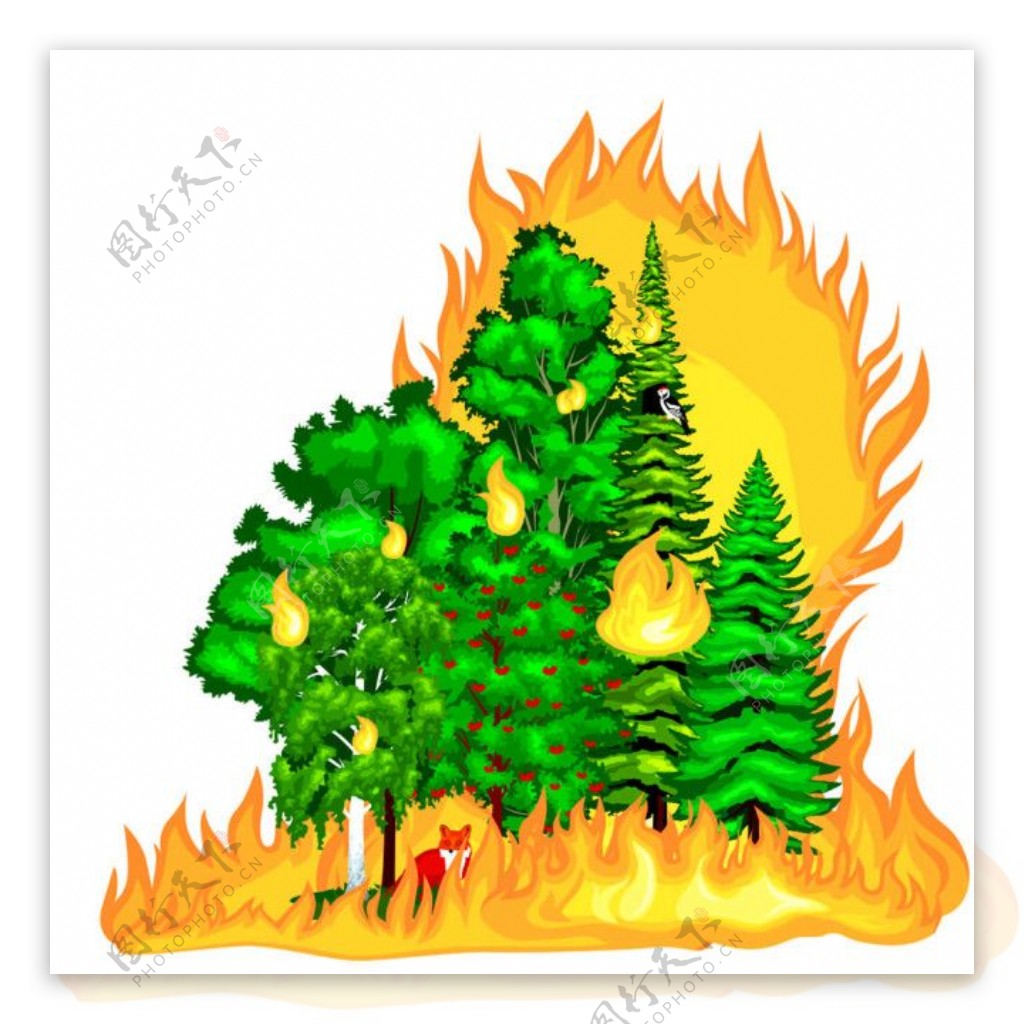 火灾树林图片