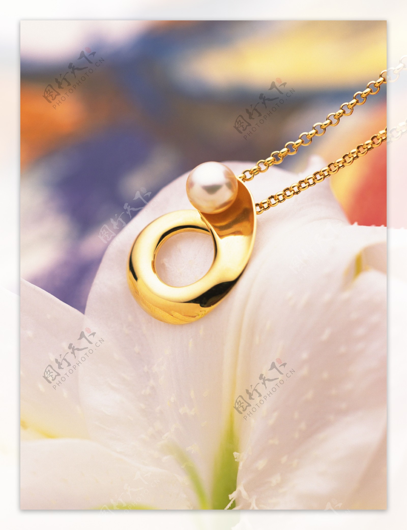 鲜花的珍珠项链图片