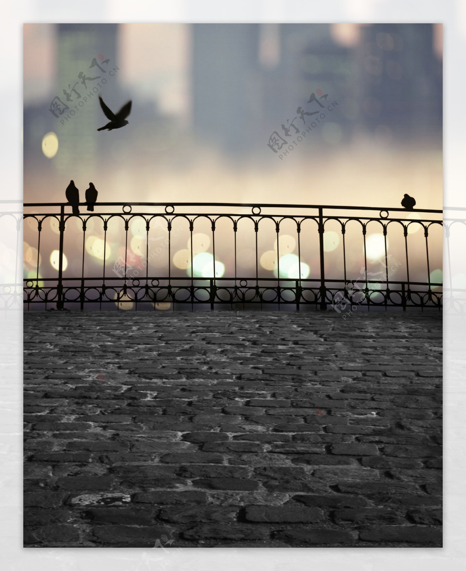 铺砖桥与鸽子剪影影楼摄影背景图片