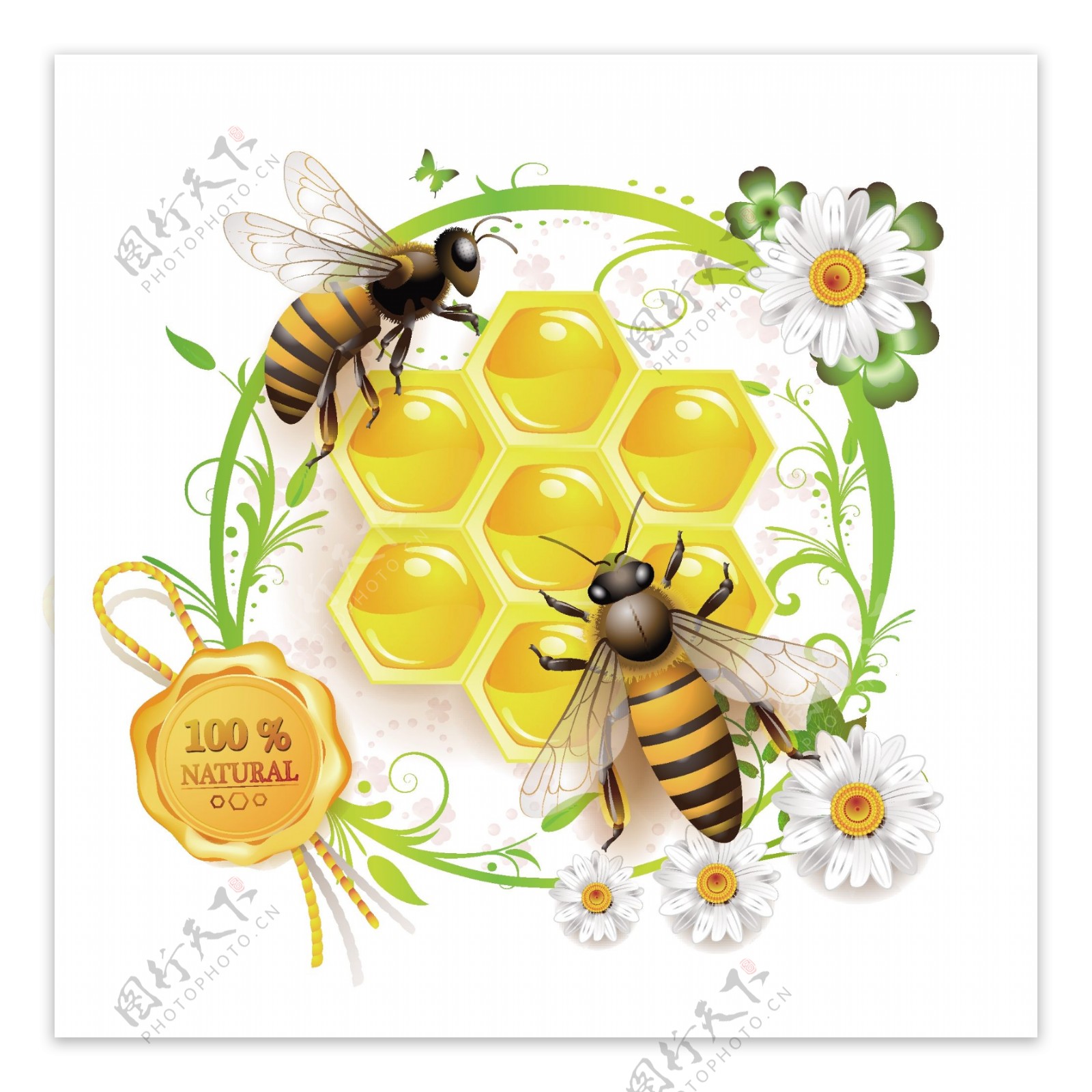 创意蜜蜂蜂巢花边矢量素材