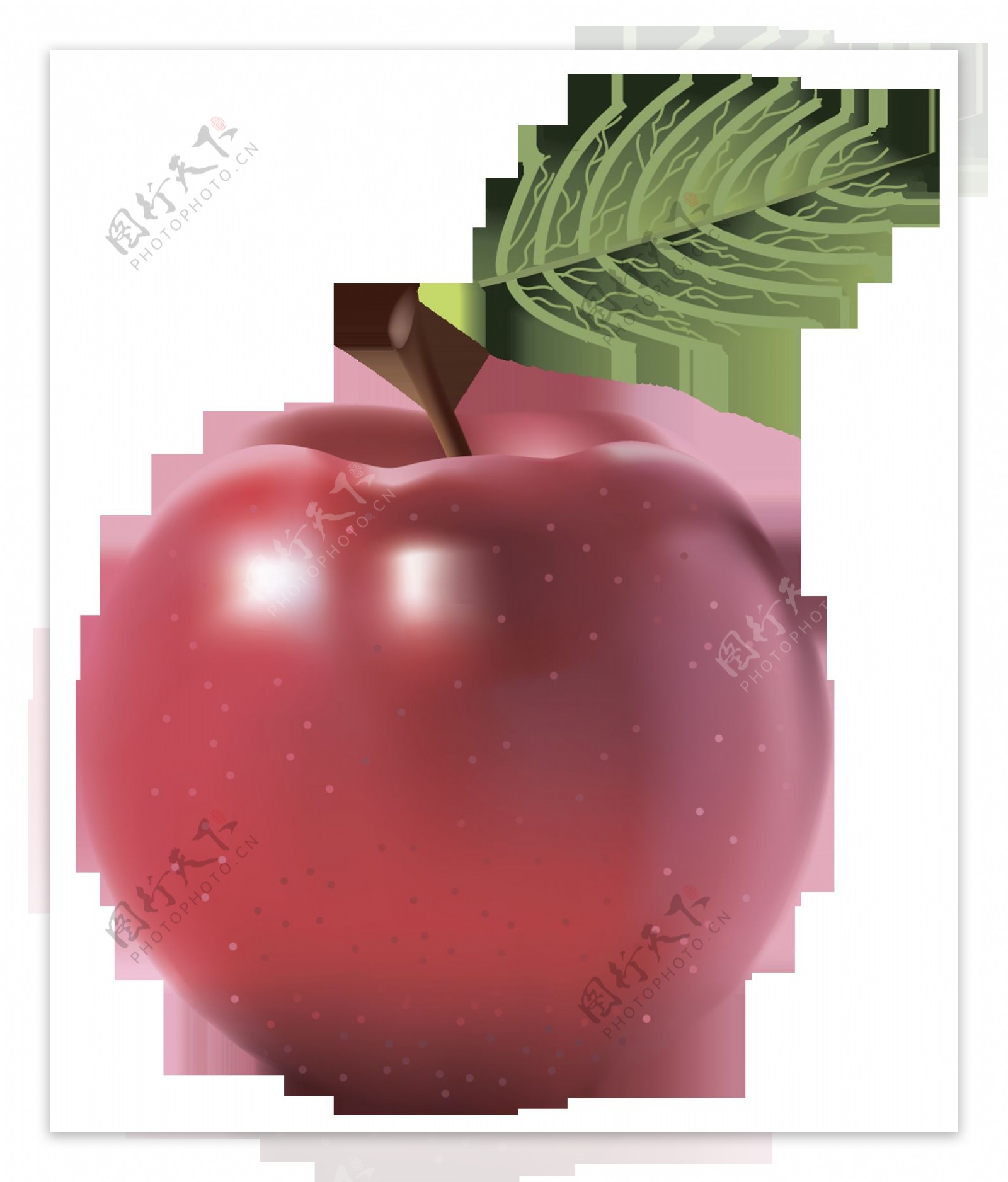 手绘逼真红苹果图片免抠png透明图层素材