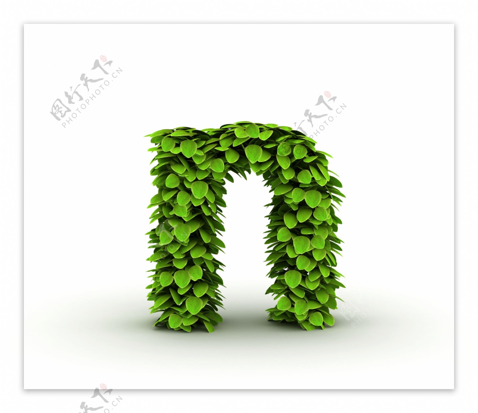 绿叶立体文字n图片