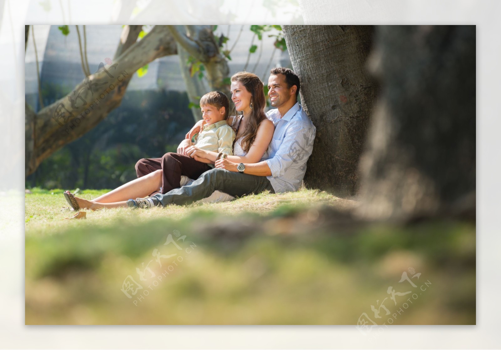 坐在树下的夫妻和孩子图片