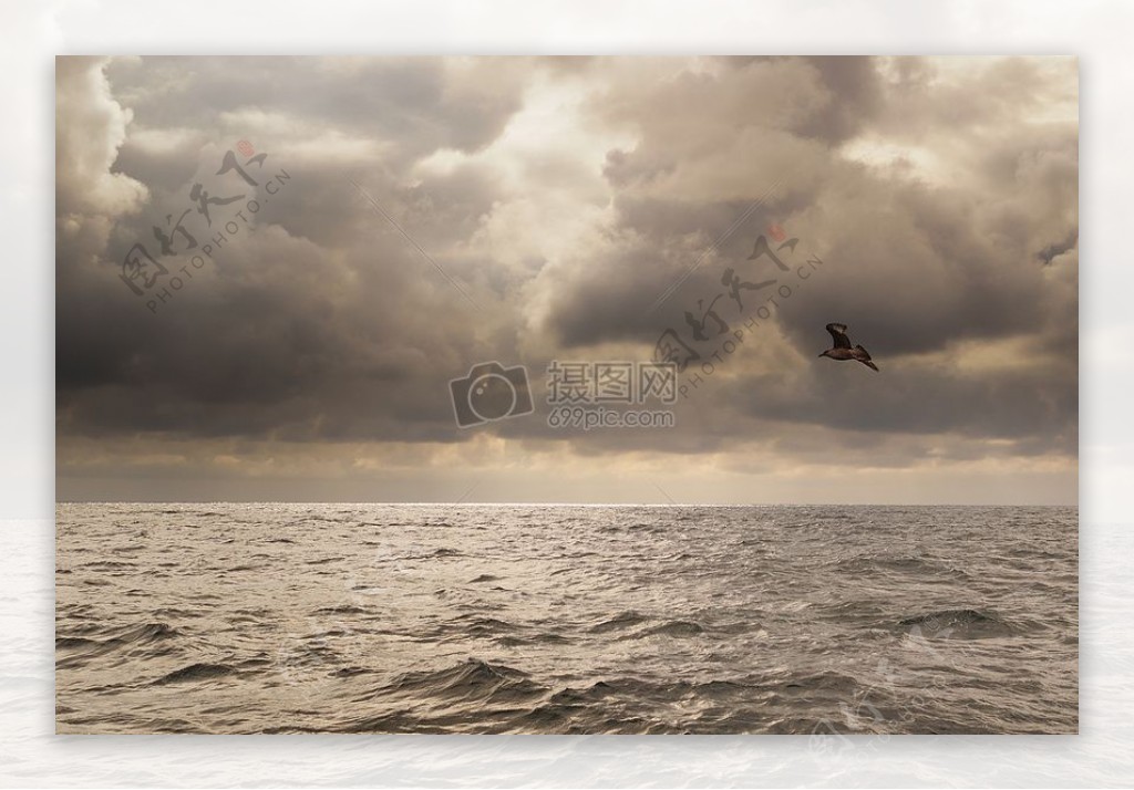 海洋天空鸟船海鸥