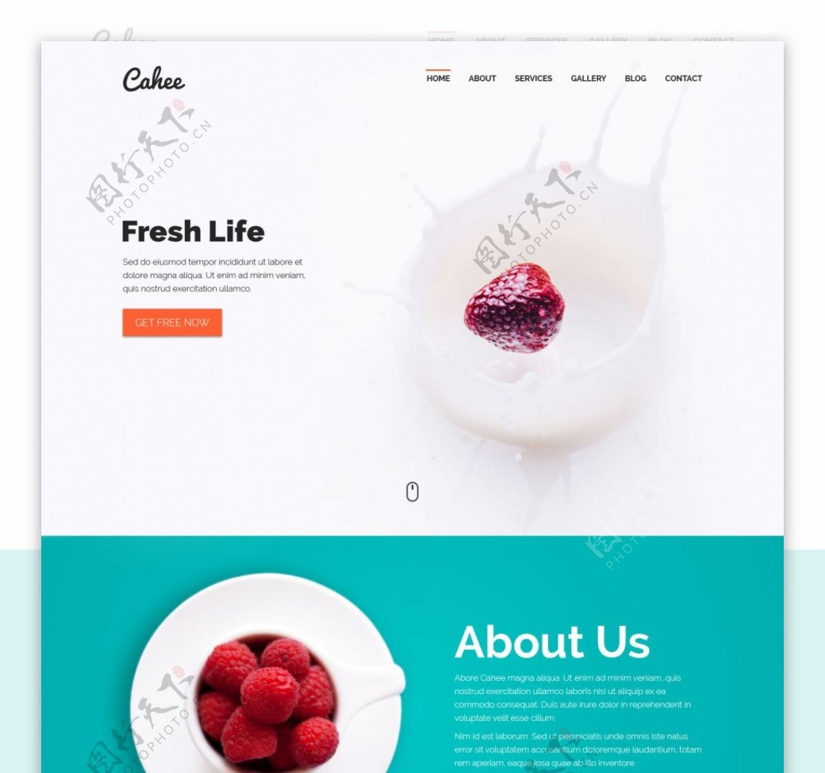 彩色食品网站设计