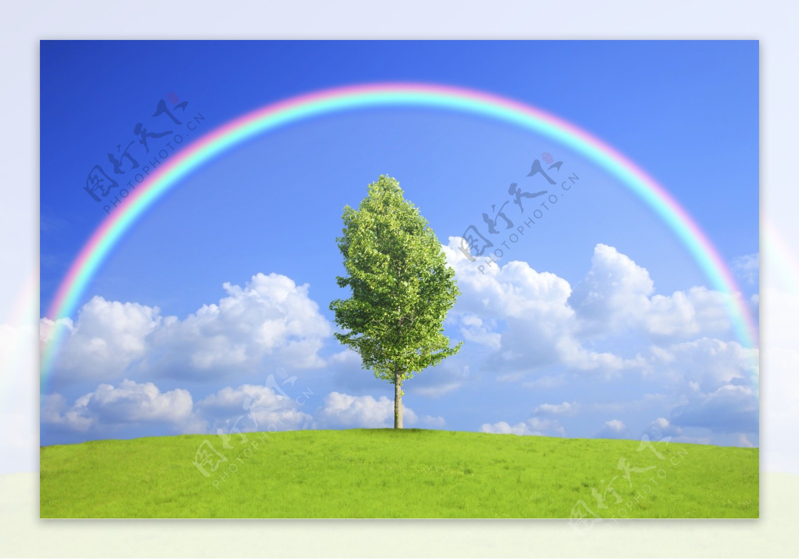 蓝天白云草地上的彩虹图片