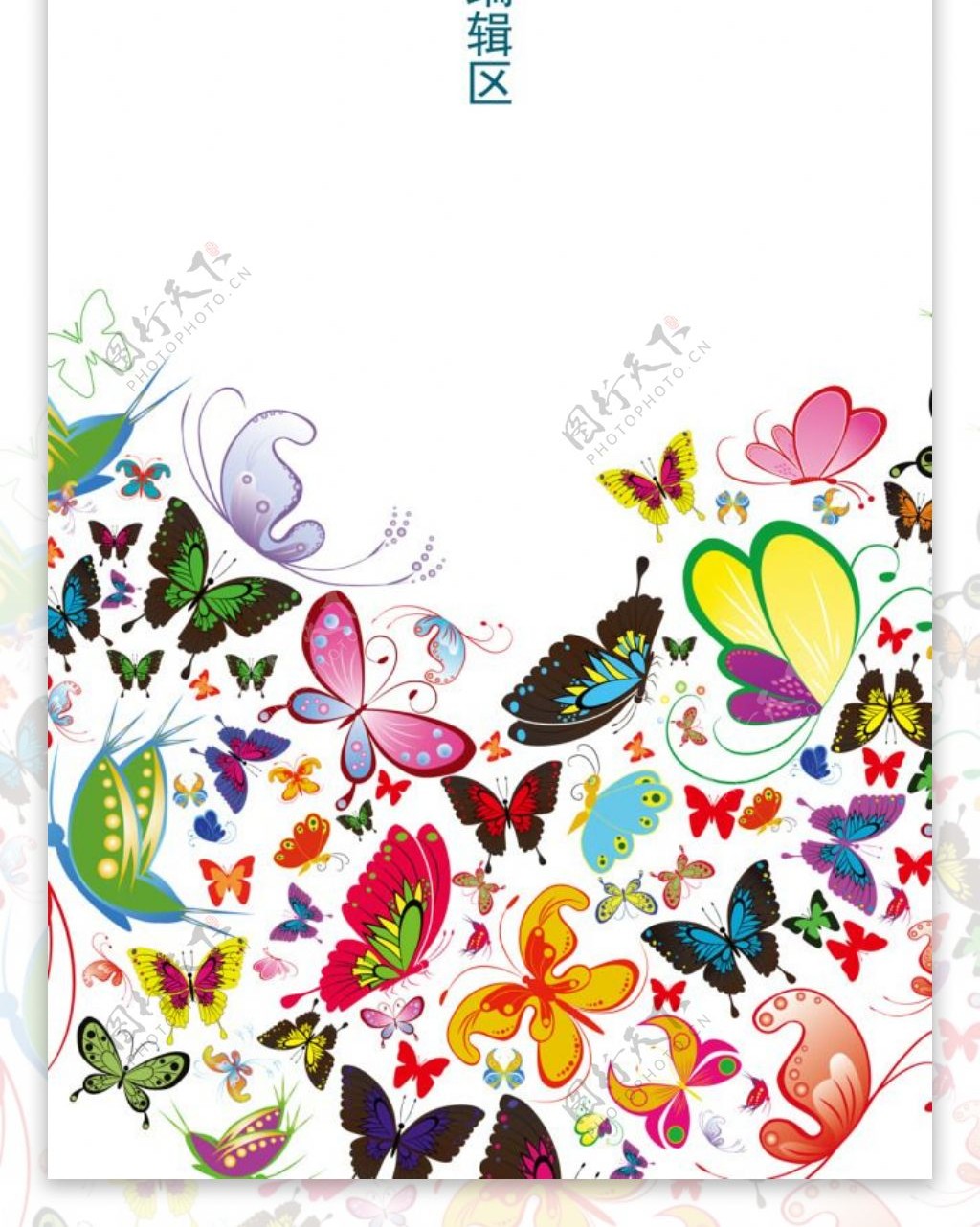 精美炫彩蝴蝶素材展板设计素材画面
