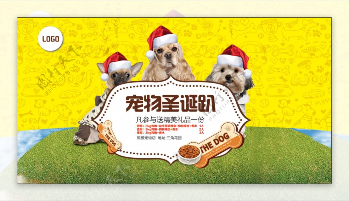 宠物活动背景画面圣诞狗狗狗节日宠物活动
