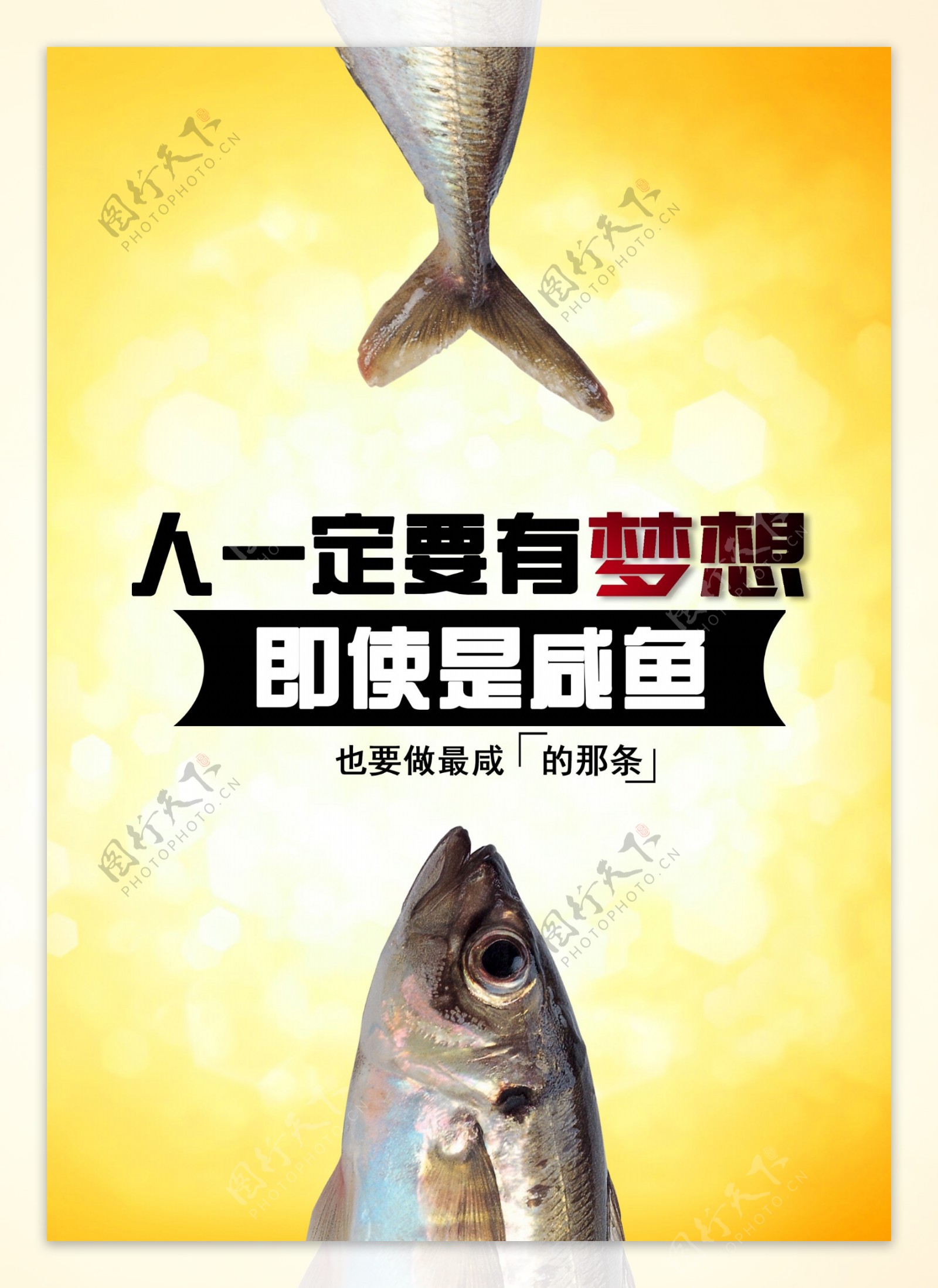 咸鱼梦想海报