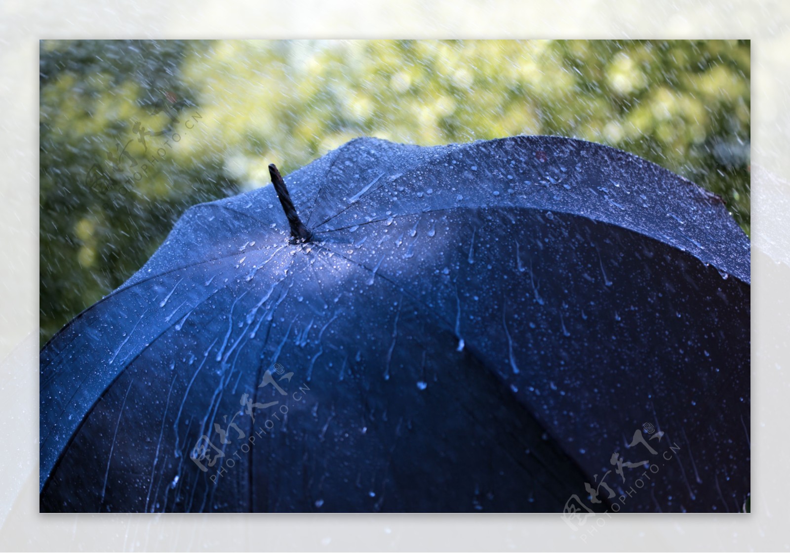 雨中的蓝色大伞图片
