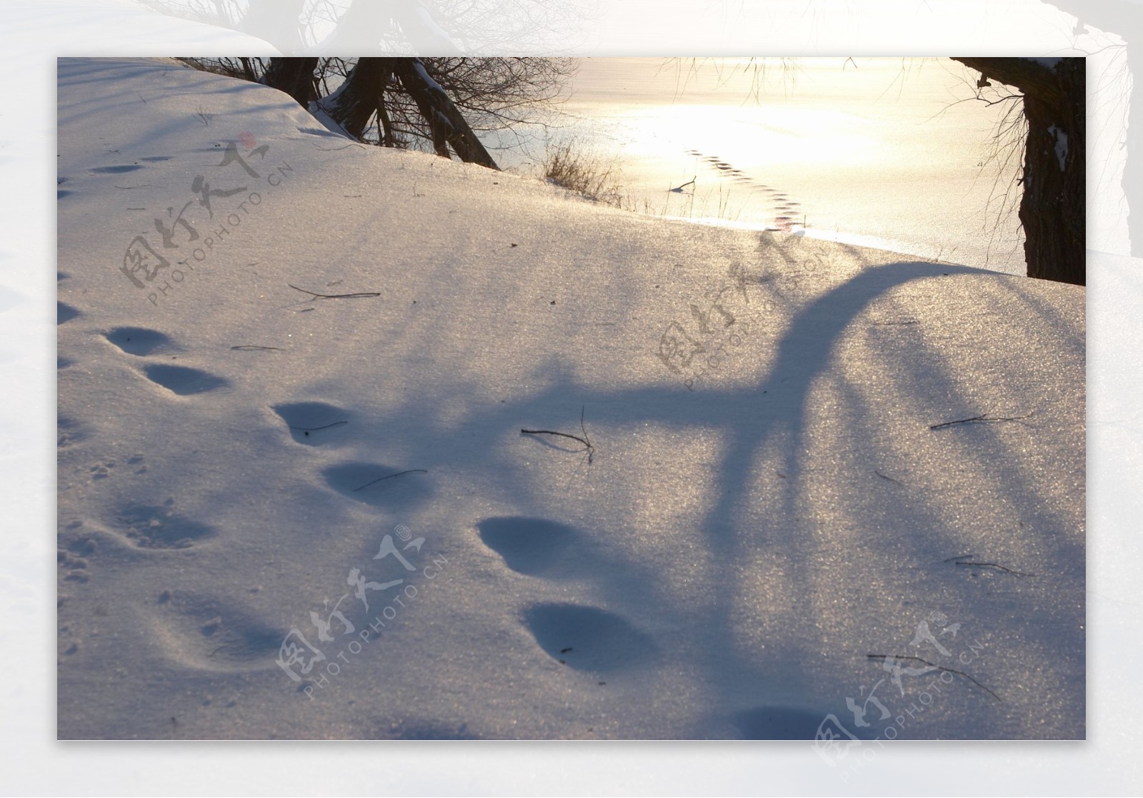 美丽雪景摄影图片