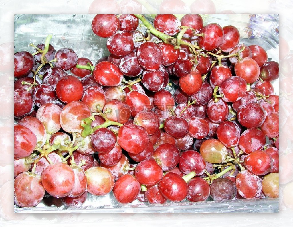 Grapes0823072.jpg