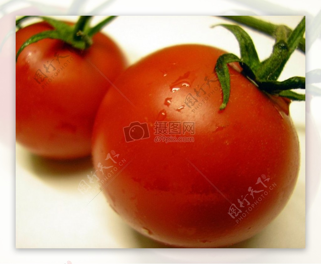 两颗红色的西红柿