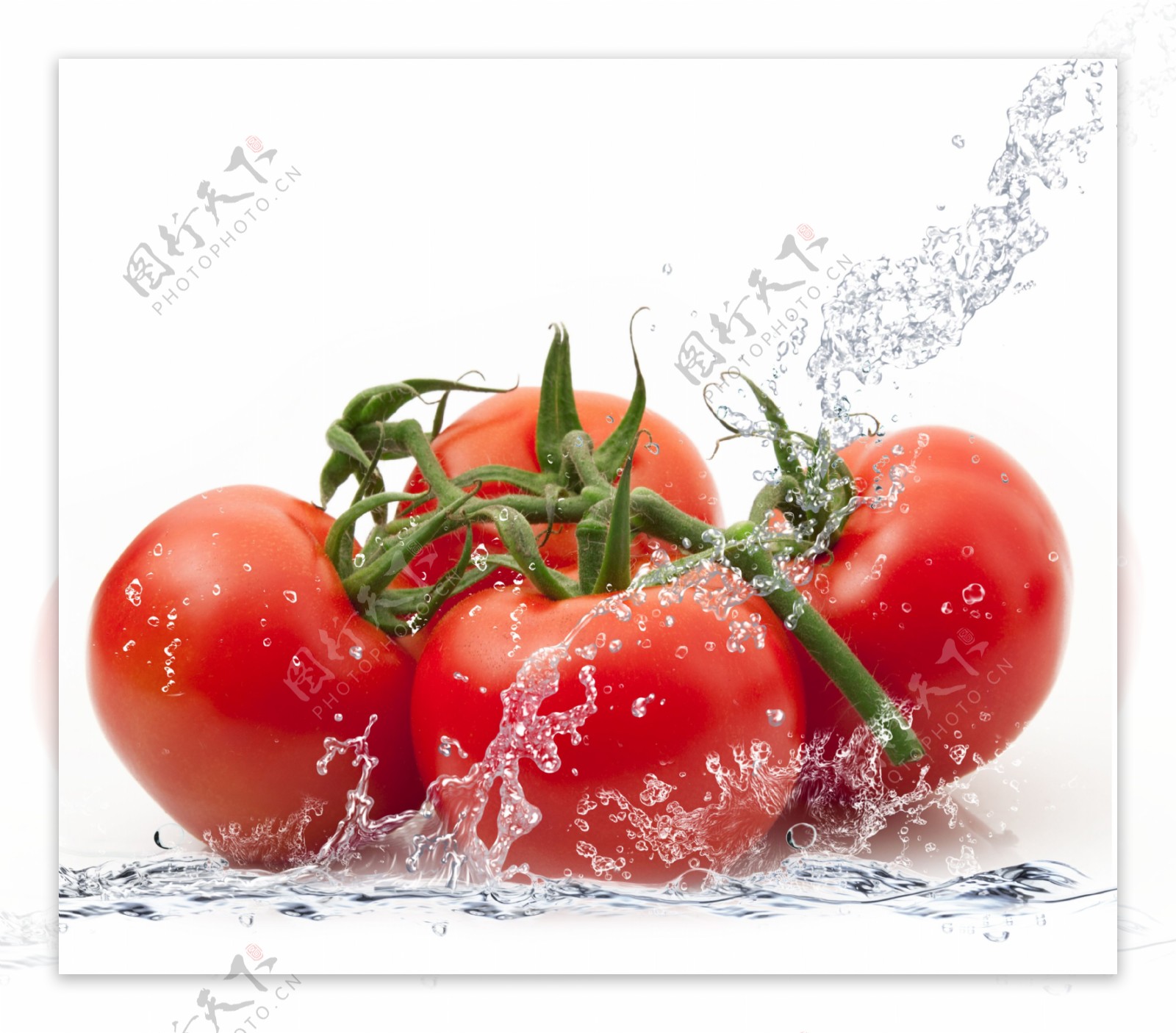动感水花与番茄图片