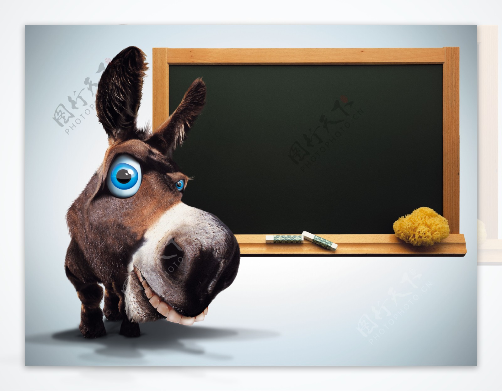 驴与黑板图片
