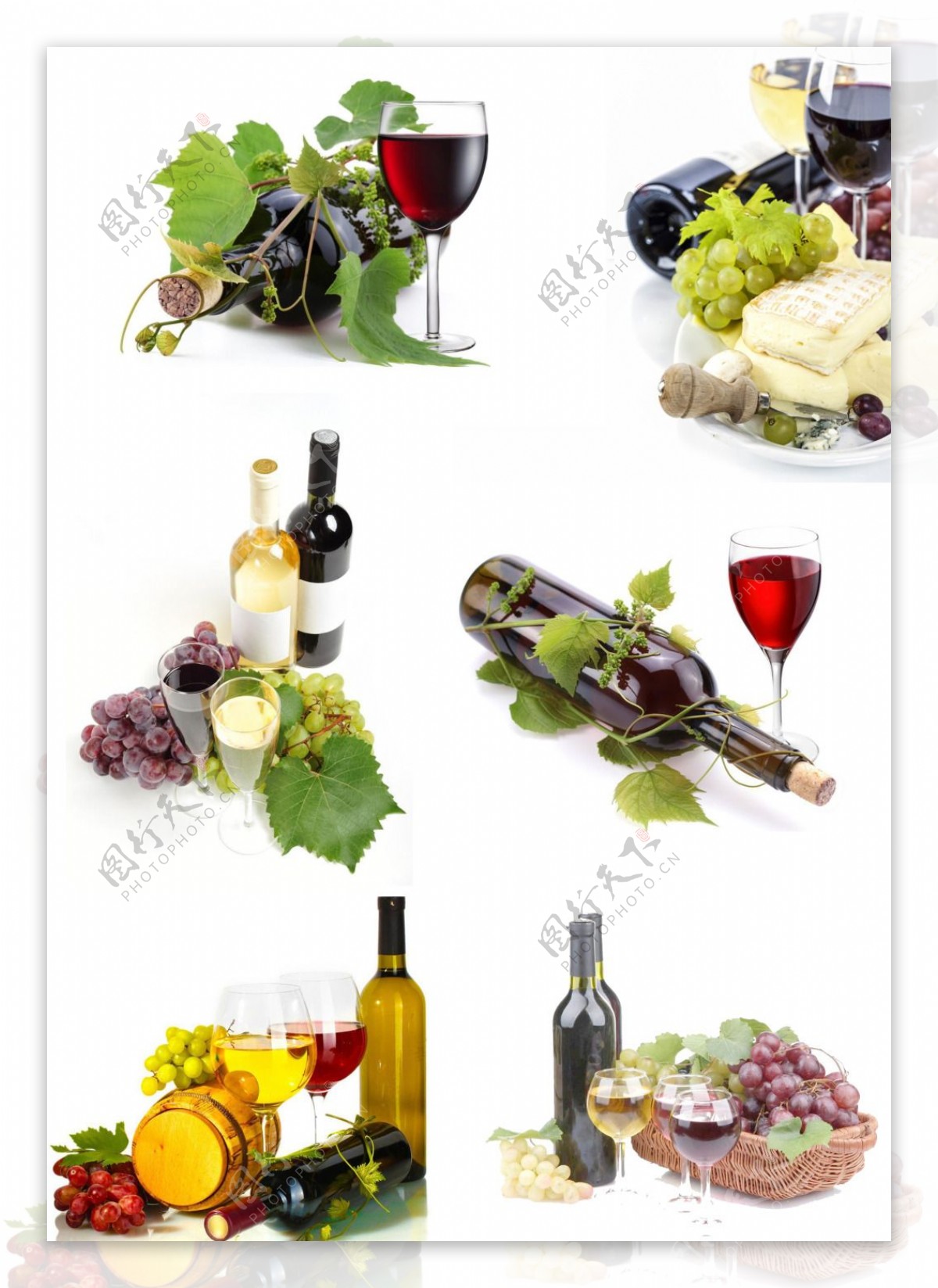 葡萄酒分层图