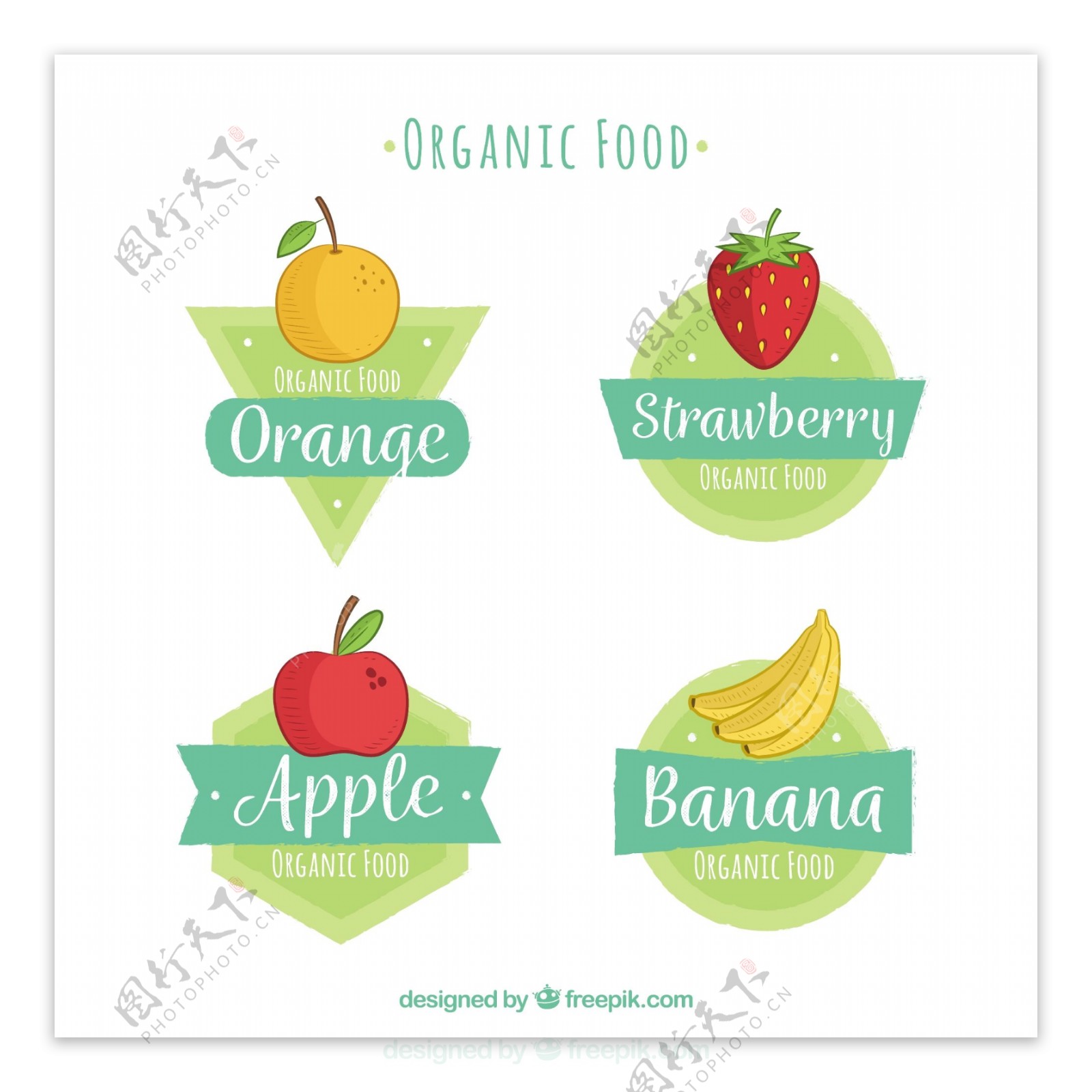 彩色手绘生态食品水果贴纸图标