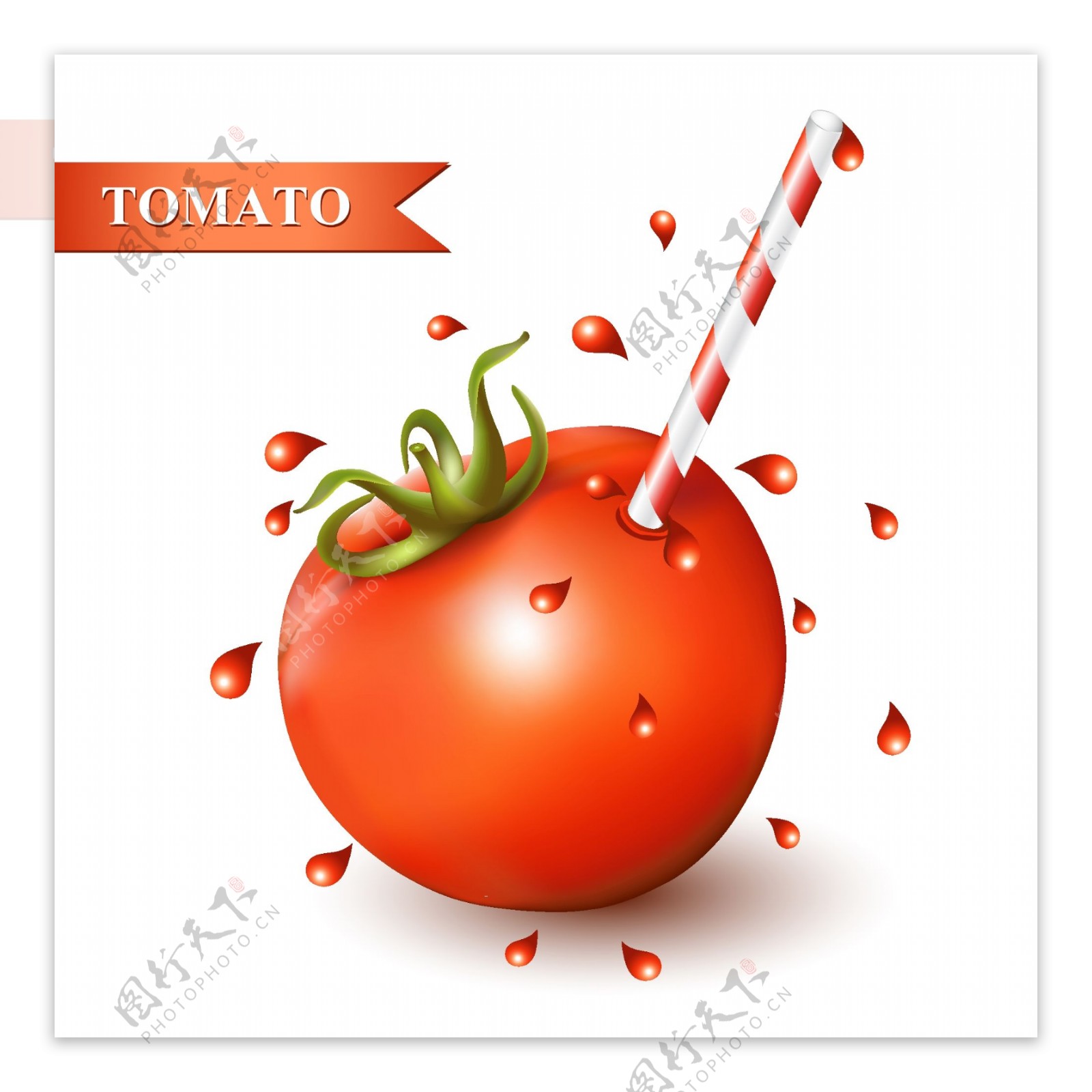番茄西红柿蔬菜矢量素材