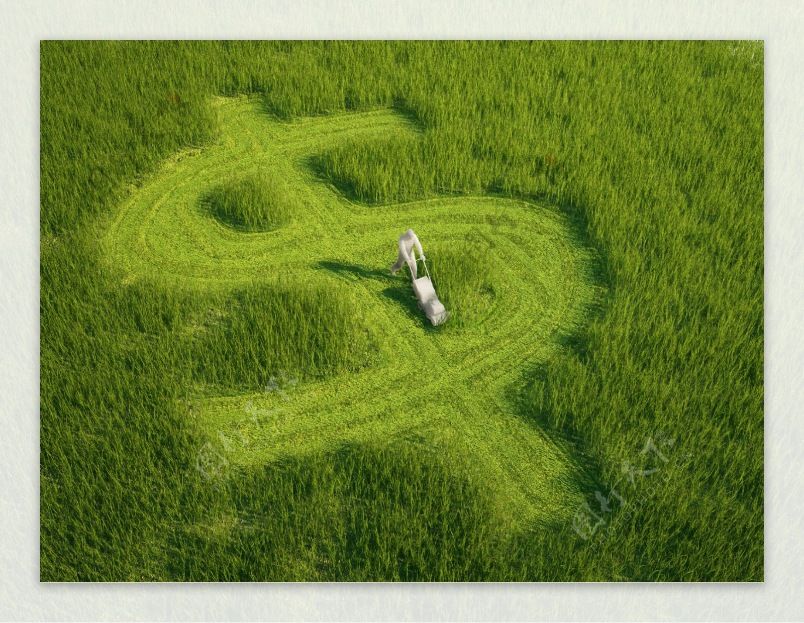 草地上的美元符号