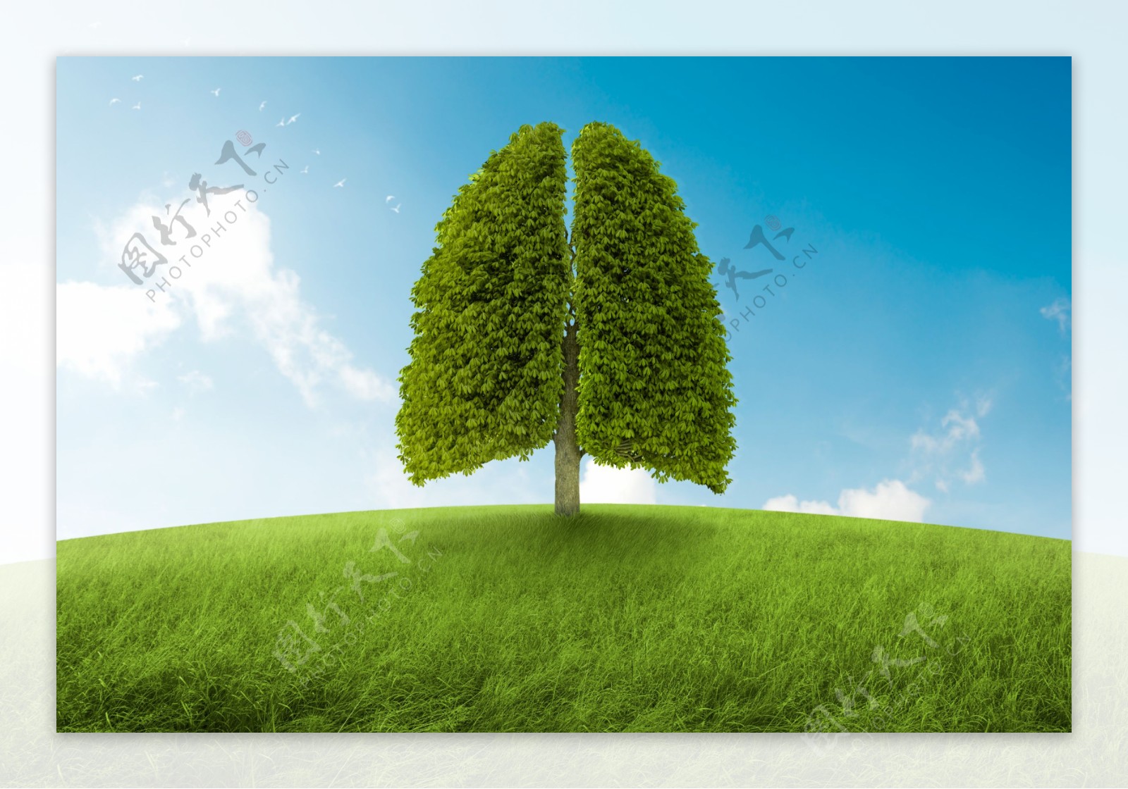 创意肺树环保图片