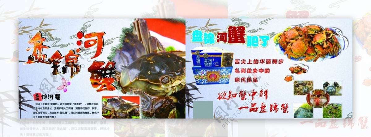 盘锦河蟹