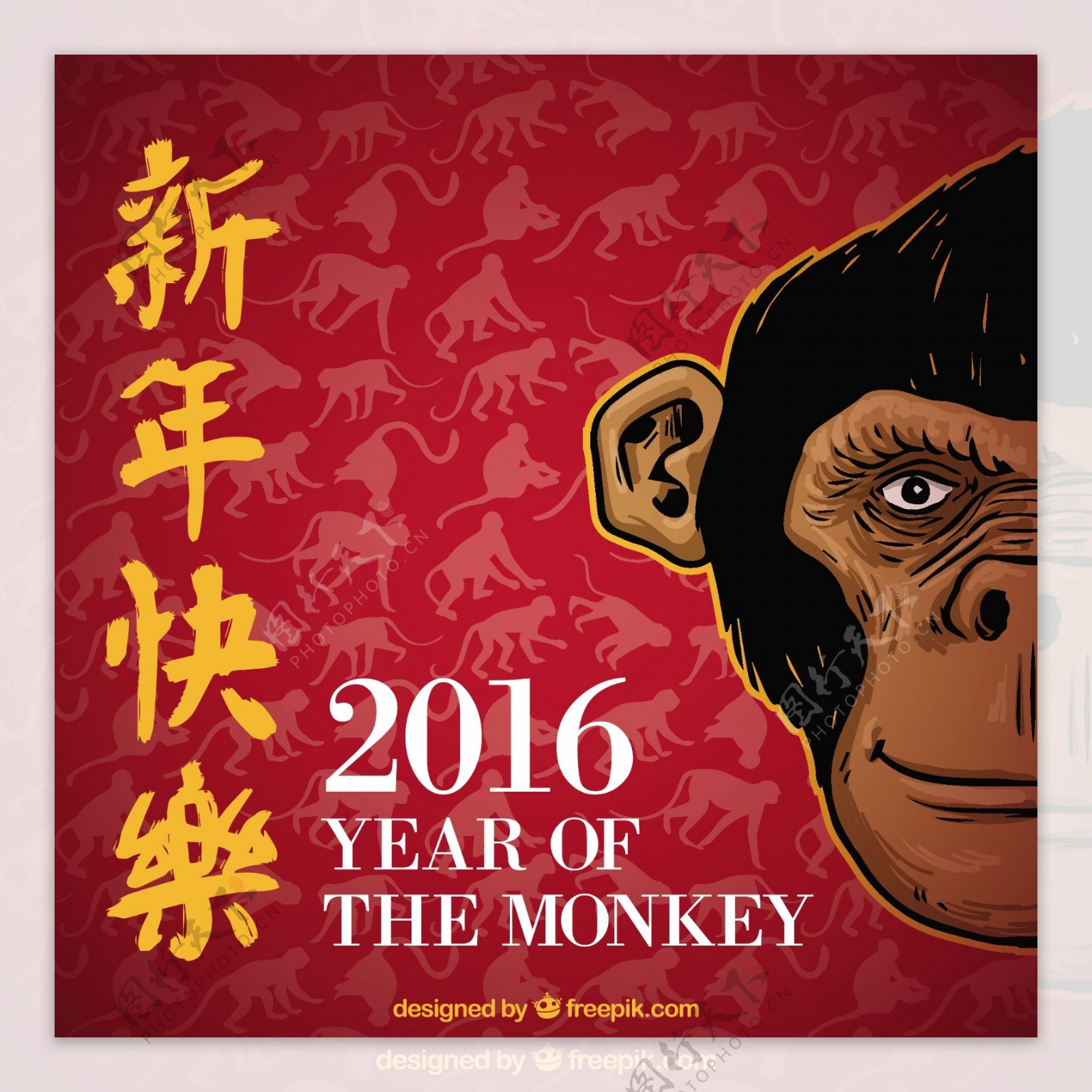 猴年的新年