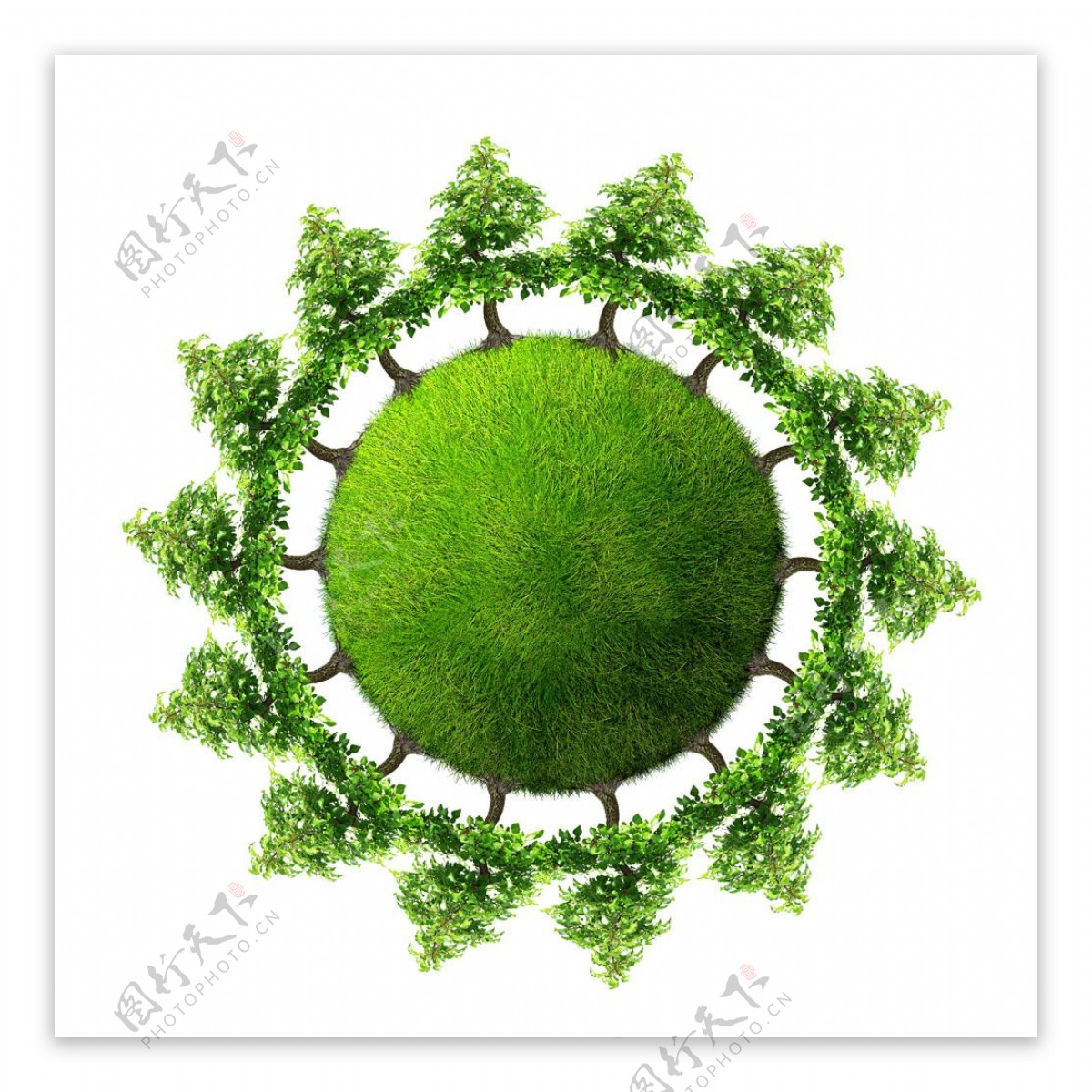 树木包围的绿色地球图片