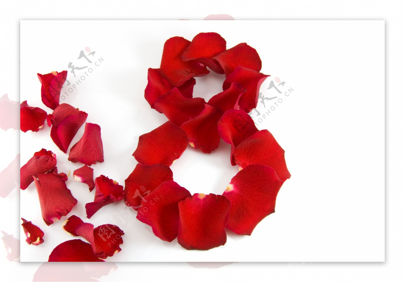 玫瑰花瓣组成的八字形图片