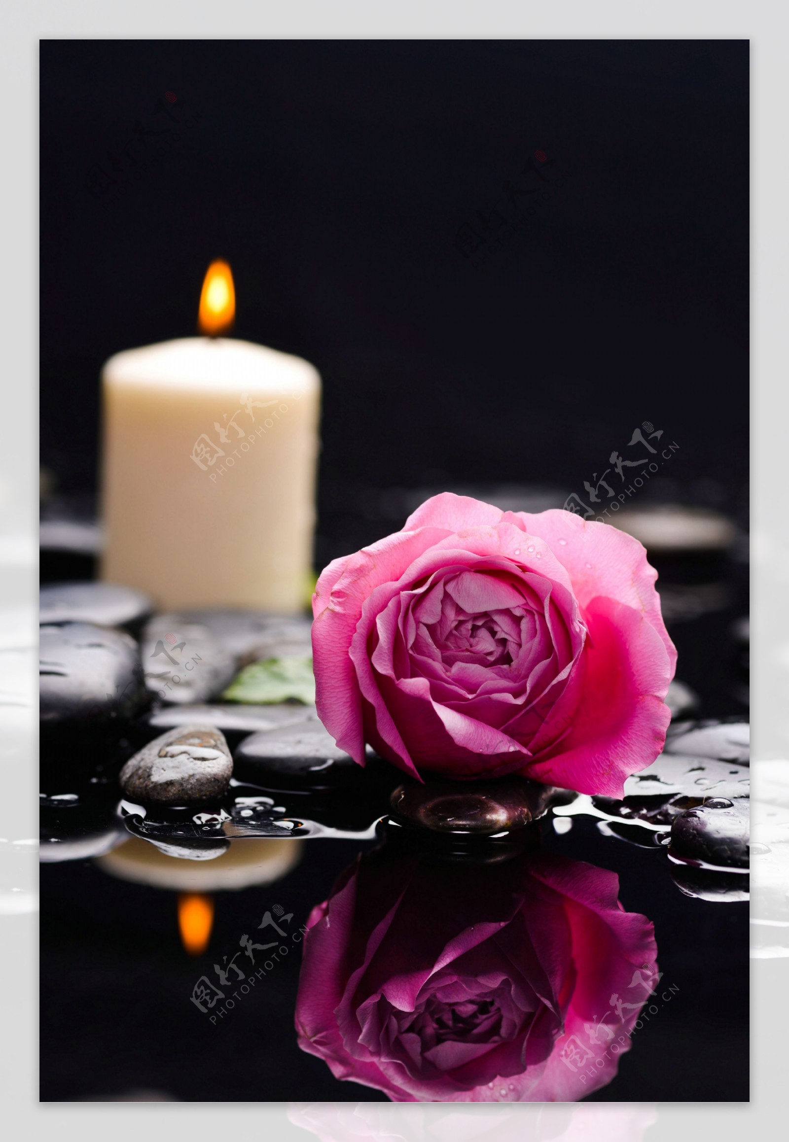 玫红玫瑰花与蜡烛图片