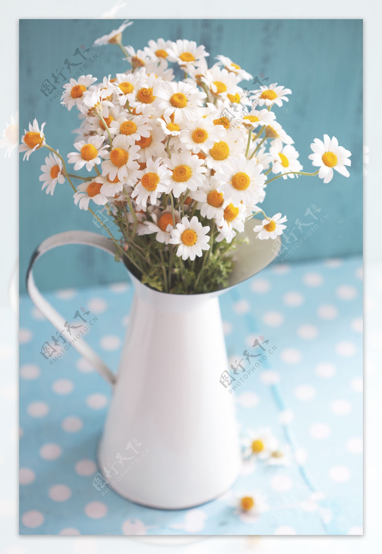 花瓶里的小菊花图片
