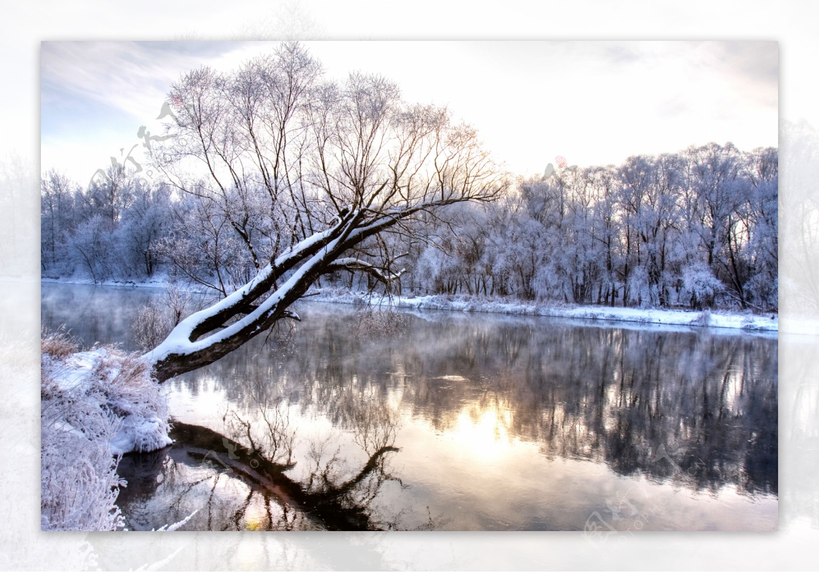 冬日雪景摄影图片