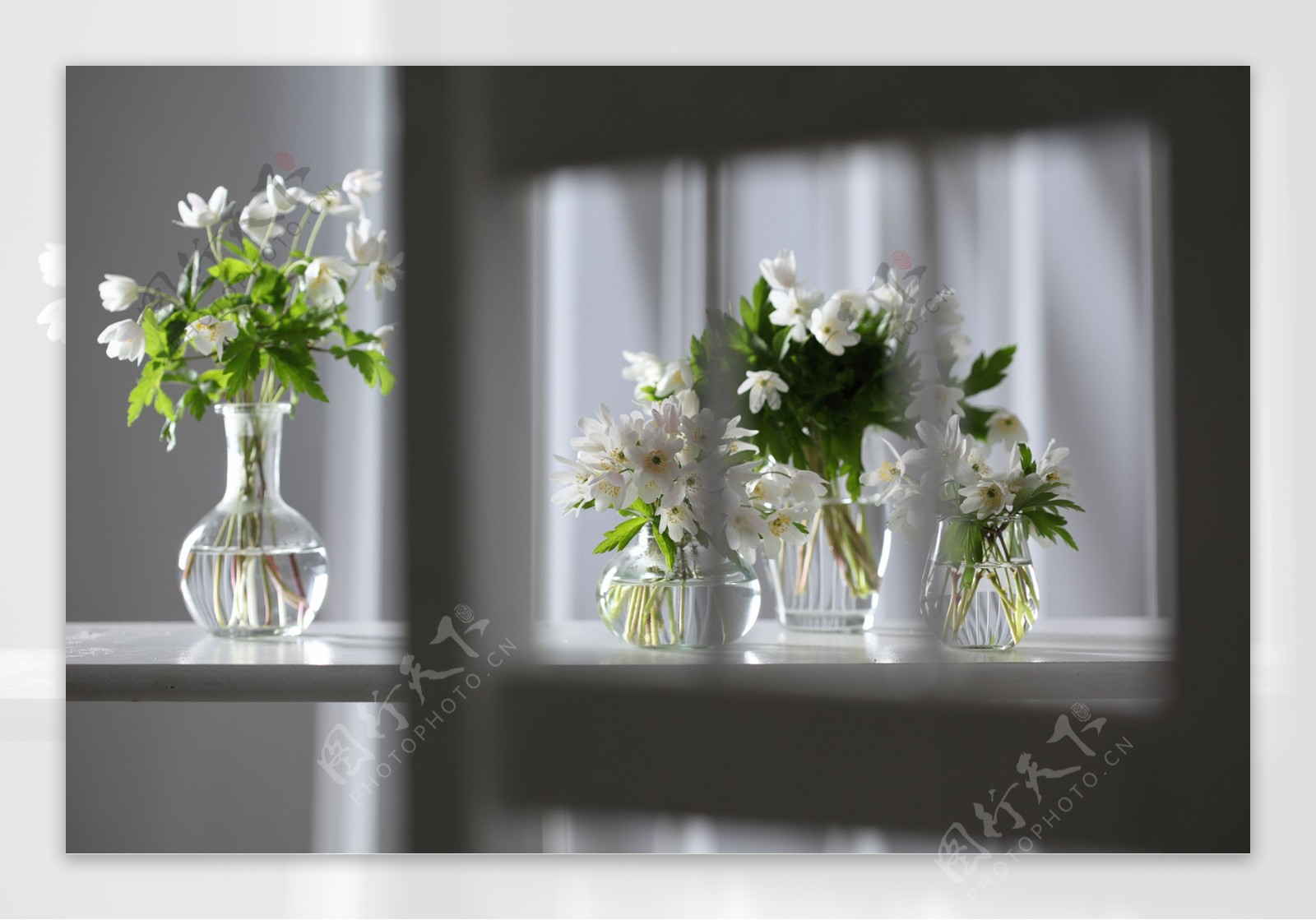 玻璃花瓶鲜花摄影图片