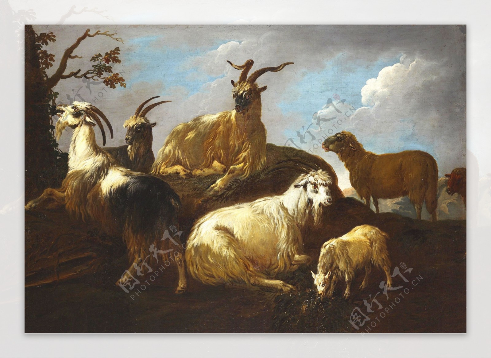 油画动物羊