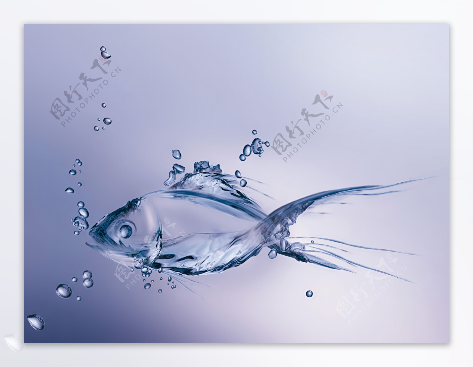 水形金鱼图案图片