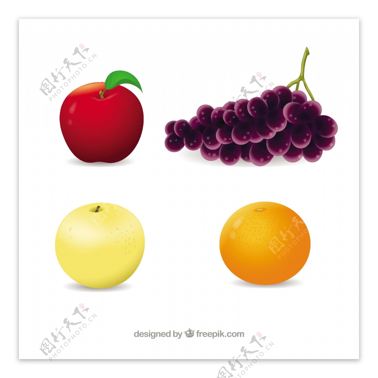 几种水果的写实设计矢量素材