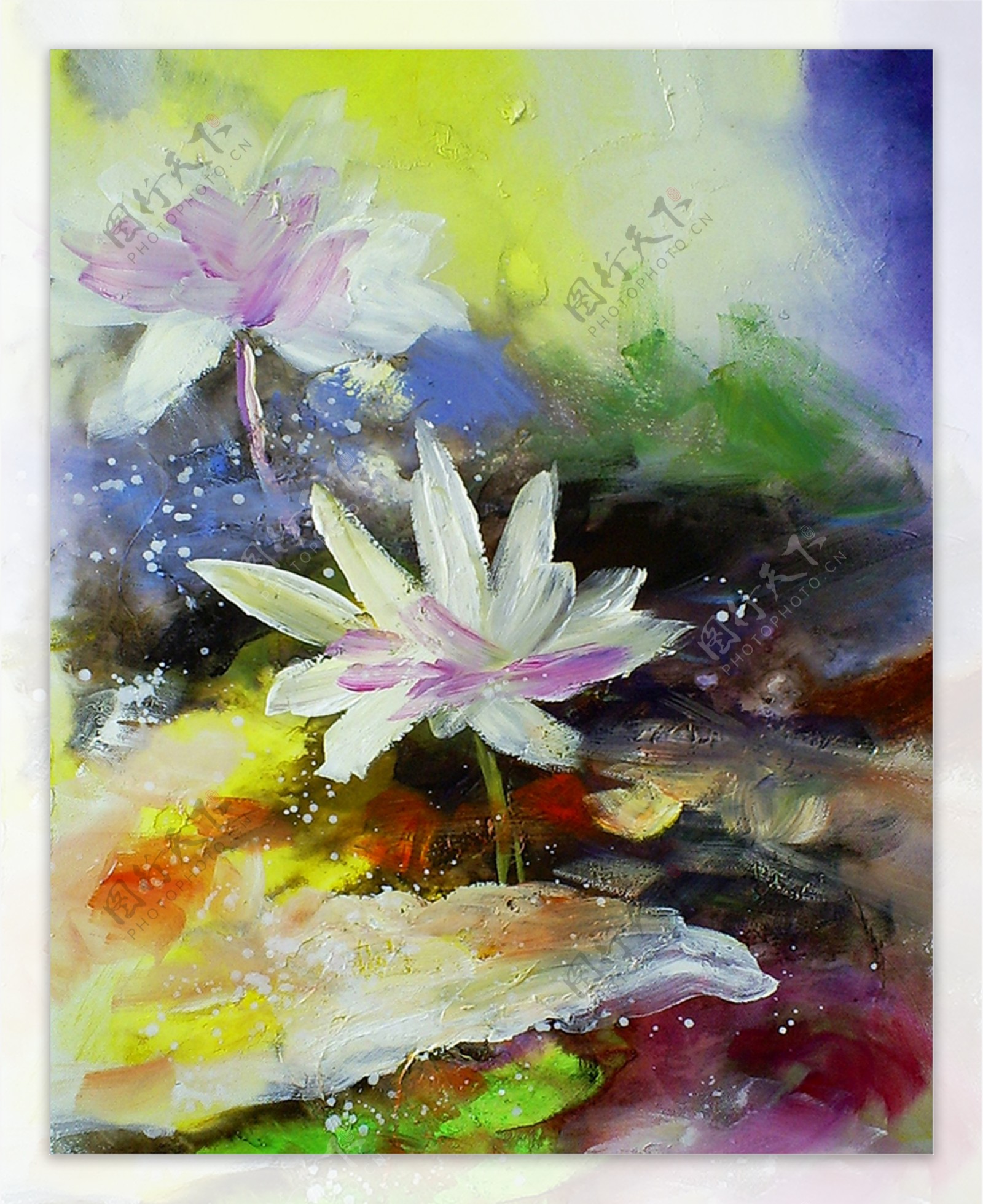 荷花油画