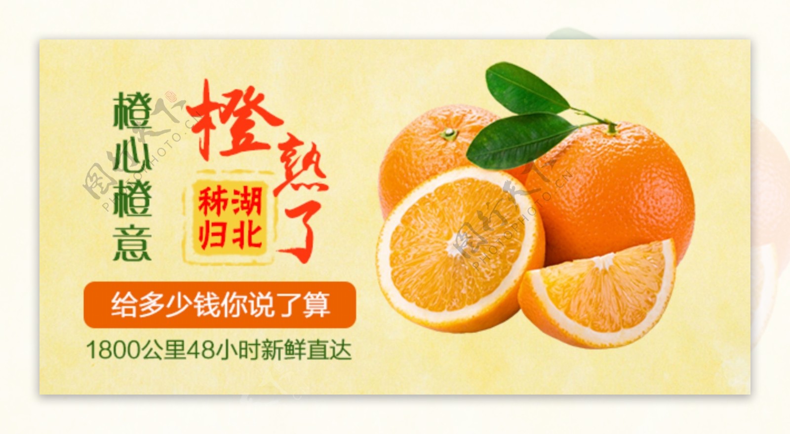 橙子活动banner