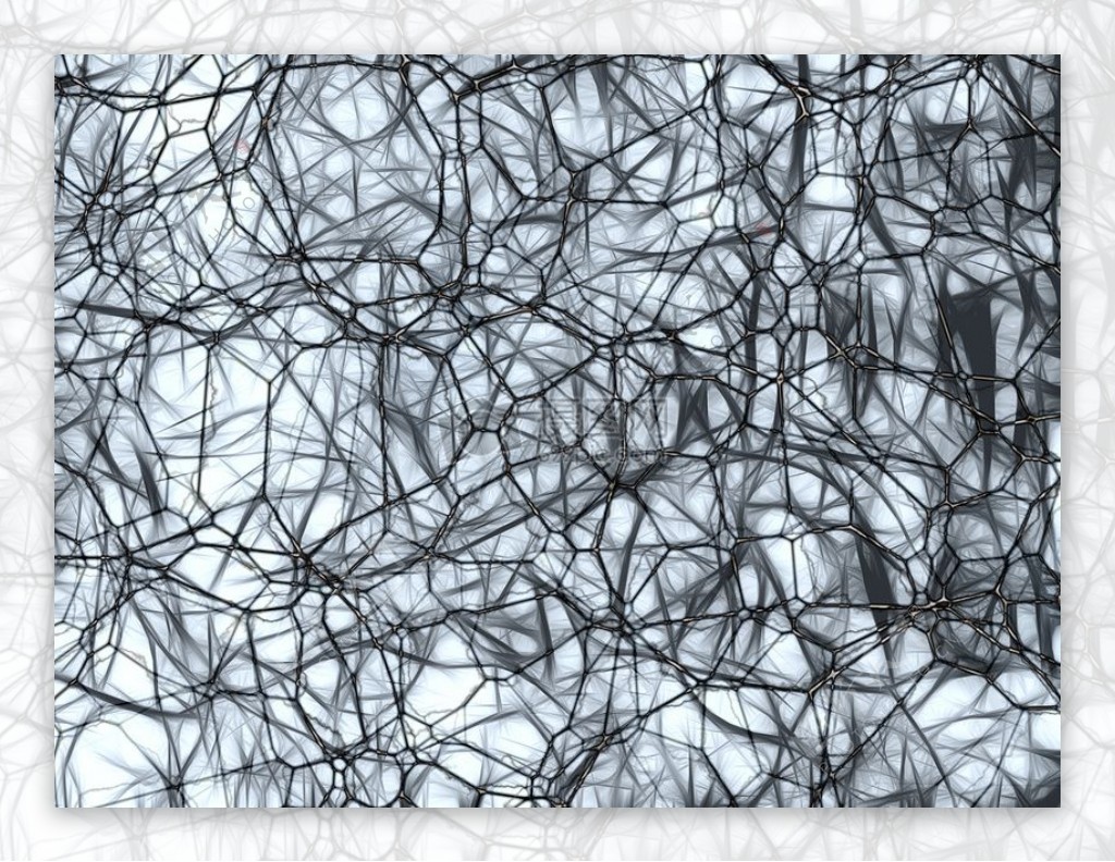 神经元脑细胞