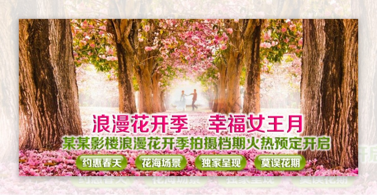 影楼春季网站首页banner
