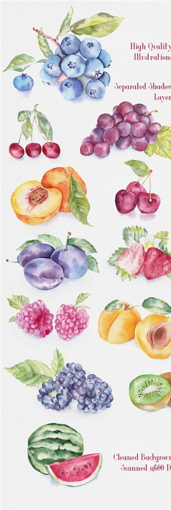 手绘水彩水果插画