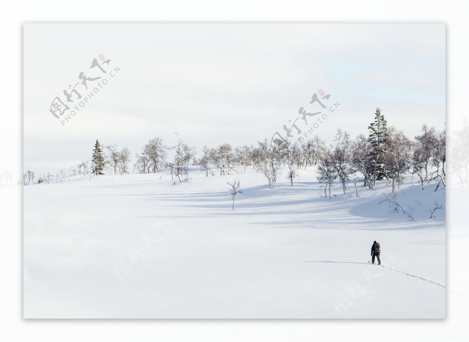 高清雪地里滑雪图片
